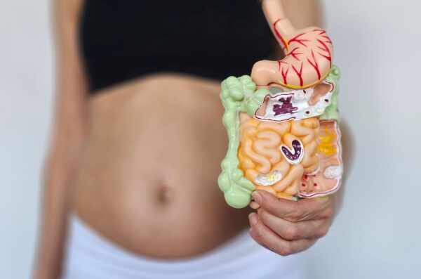 Illustration showing a pregnant female and connection between gut and brain